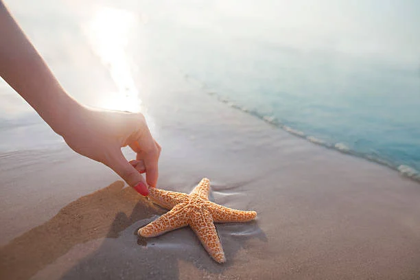 Person walking on a beach beside a starfish